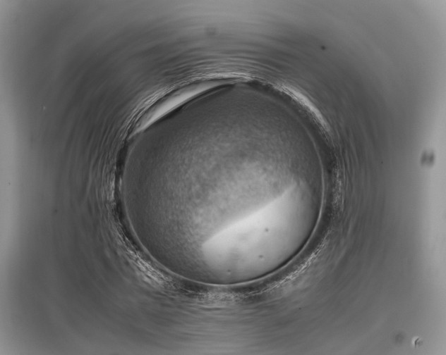 X0000097880777200803141319