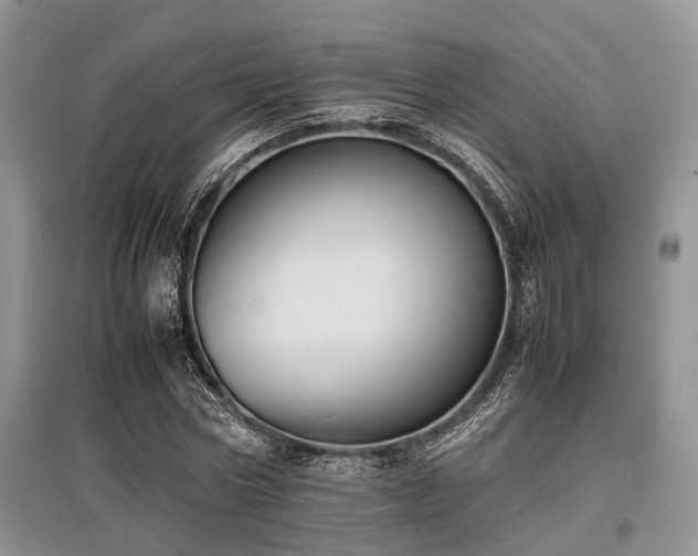 X0000097880778200803141319