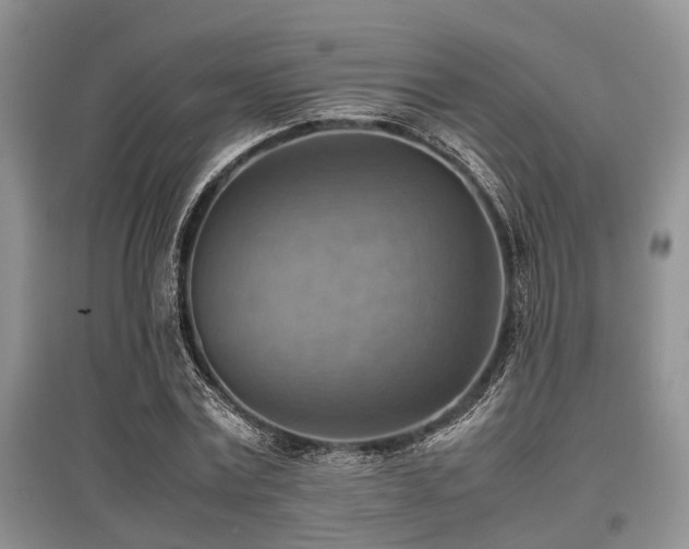X0000097880779200803141319