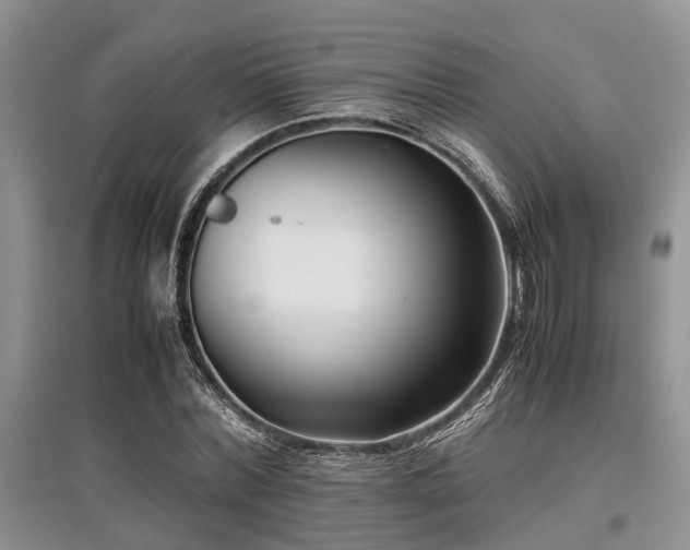 X0000097880780200803141319