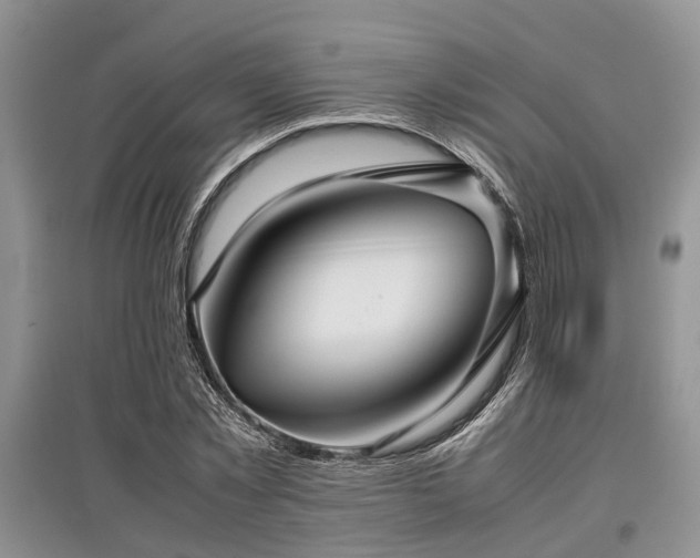 X0000097880781200803141319