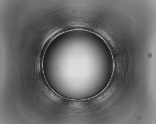 X0000097880782200803141319