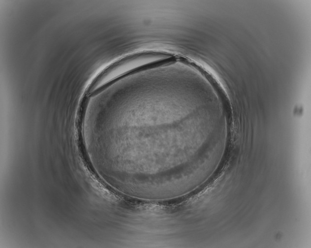 X0000097880783200803141319