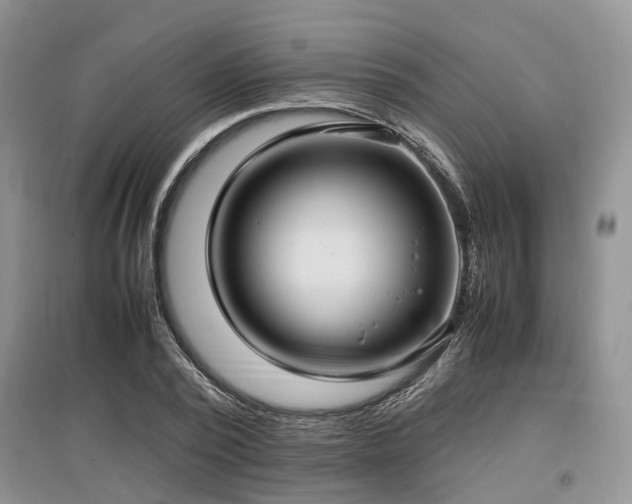 X0000097880784200803141319