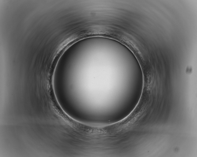 X0000097880786200803141319