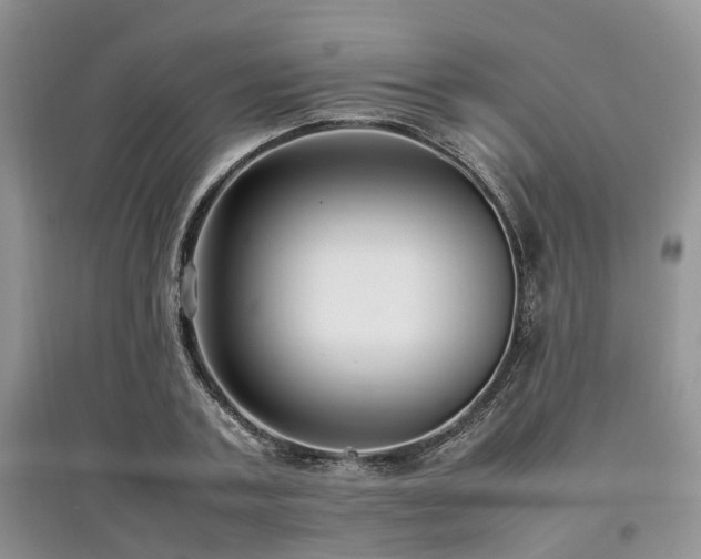 X0000097880787200803141319