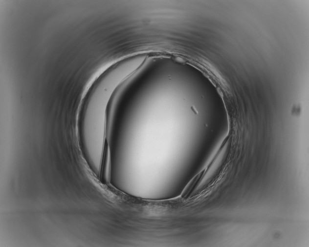 X0000097880788200803141319