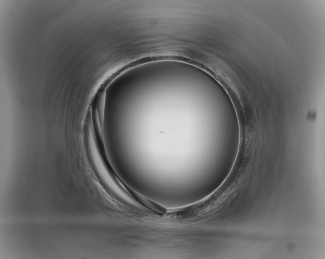 X0000097880789200803141319