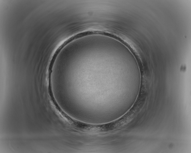 X0000097880791200803141319