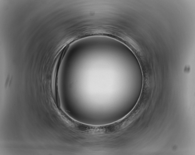 X0000097880793200803141319