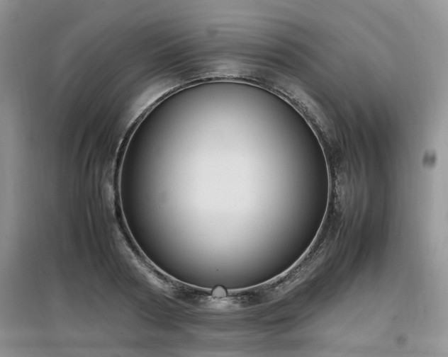 X0000097880794200803141319