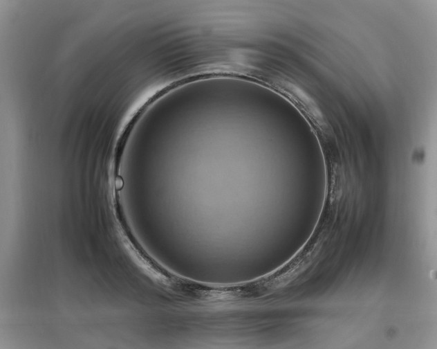 X0000097880796200803141319