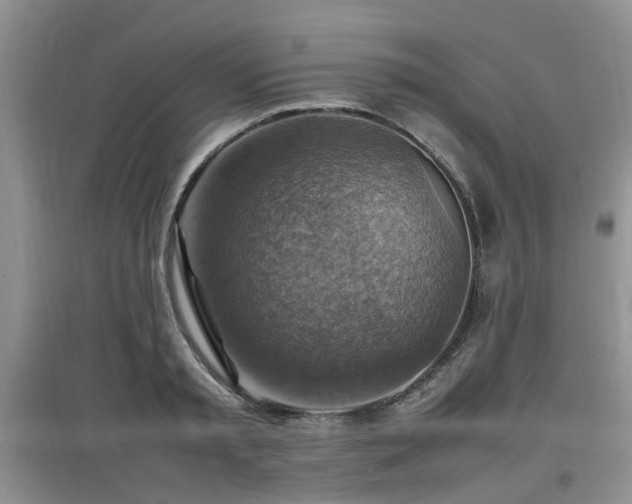 X0000097880797200803141319