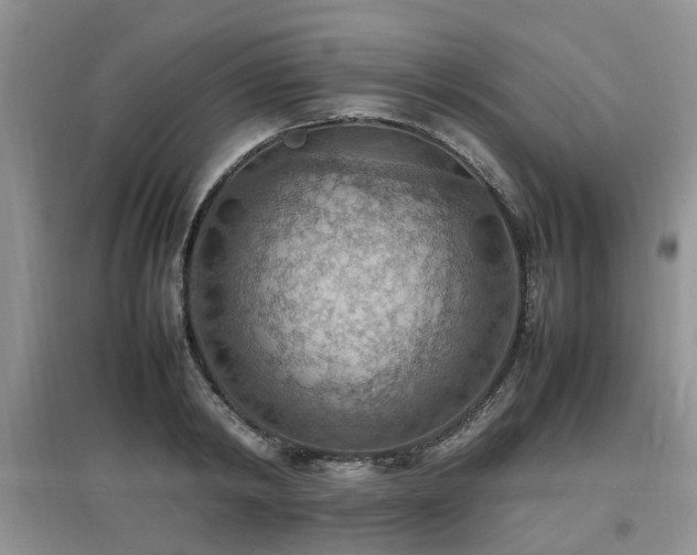 X0000097880798200803141319