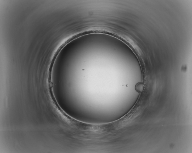 X0000097880799200803141319