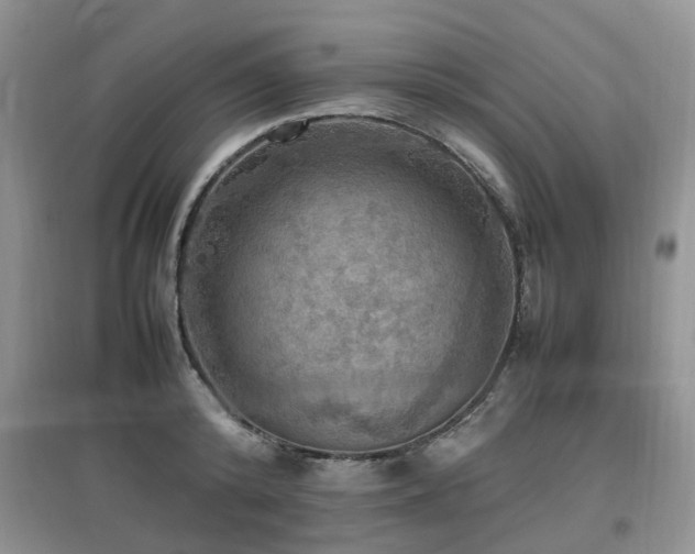 X0000097880800200803141319