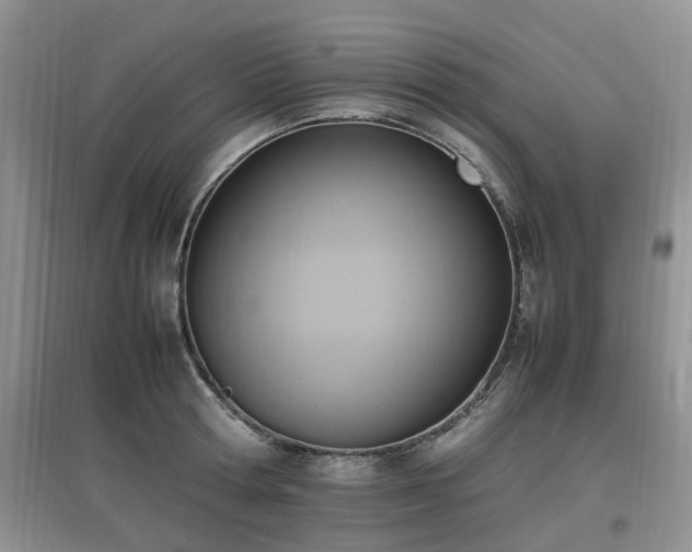 X0000097880802200803141319