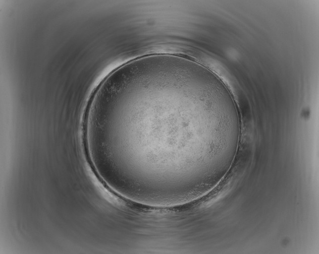 X0000097880803200803141318
