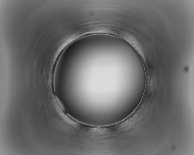 X0000097880805200803141318