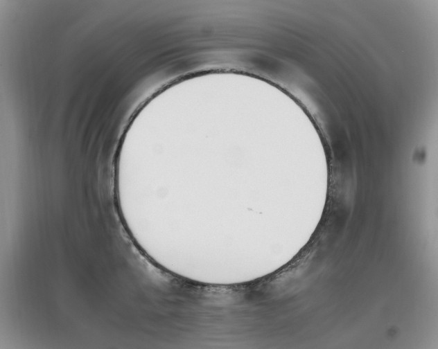 X0000097880807200803141318