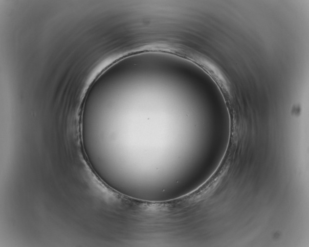 X0000097880808200803141318