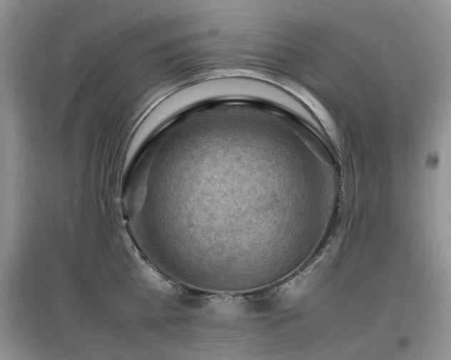 X0000097880809200803141318