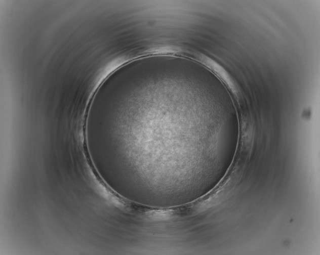 X0000097880810200803141318