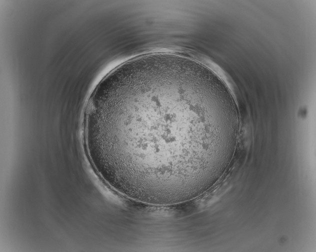 X0000097880811200803141318