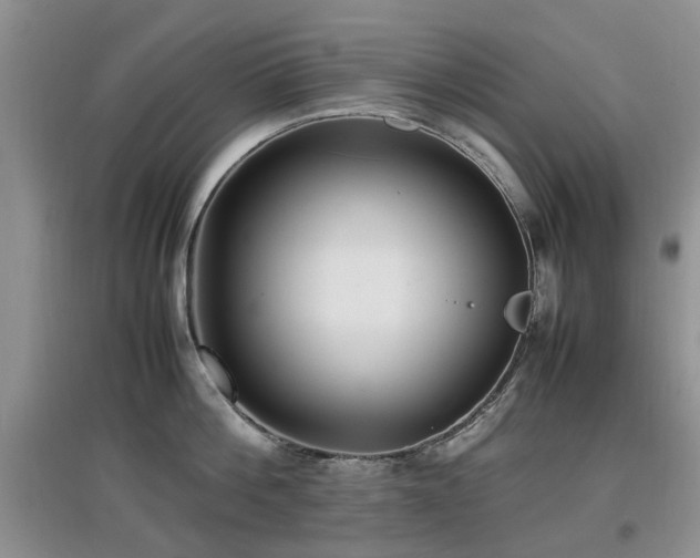 X0000097880812200803141318