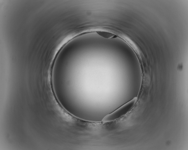 X0000097880813200803141318