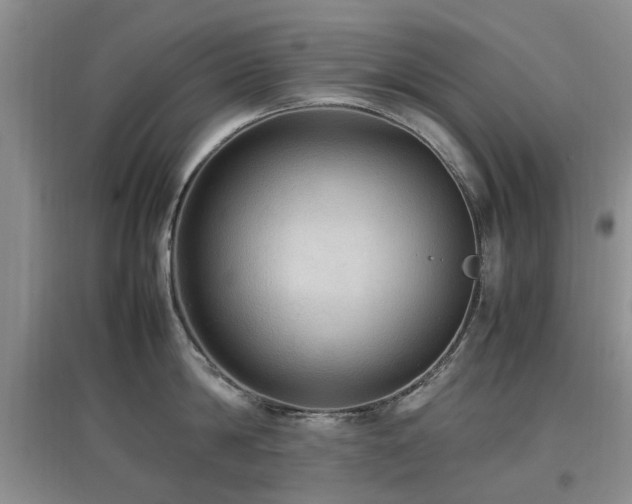 X0000097880814200803141318