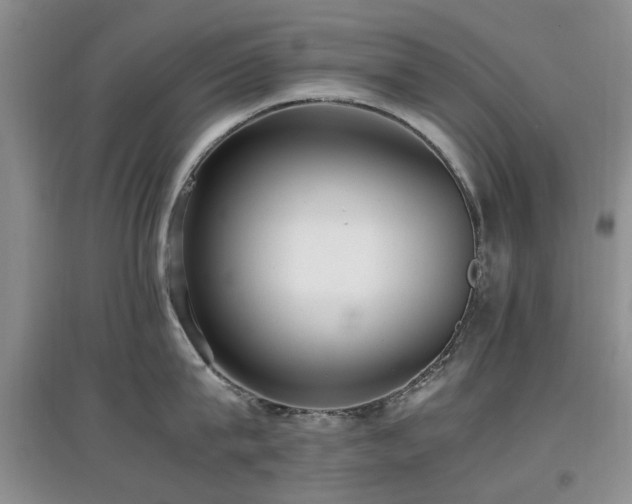 X0000097880815200803141318