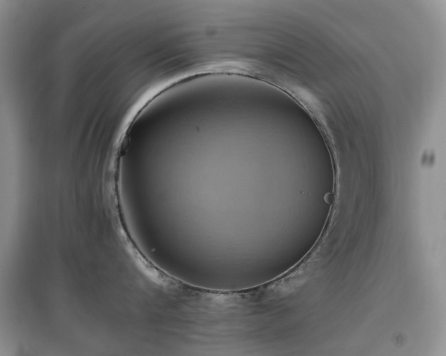 X0000097880816200803141318