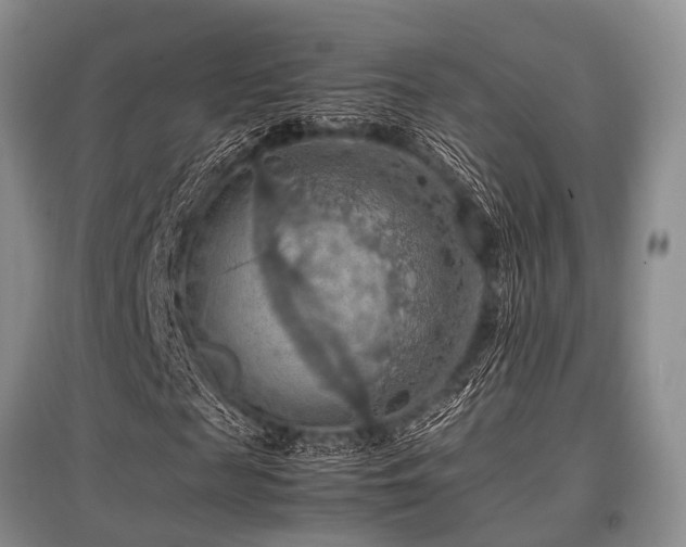 X0000097880817200803141318