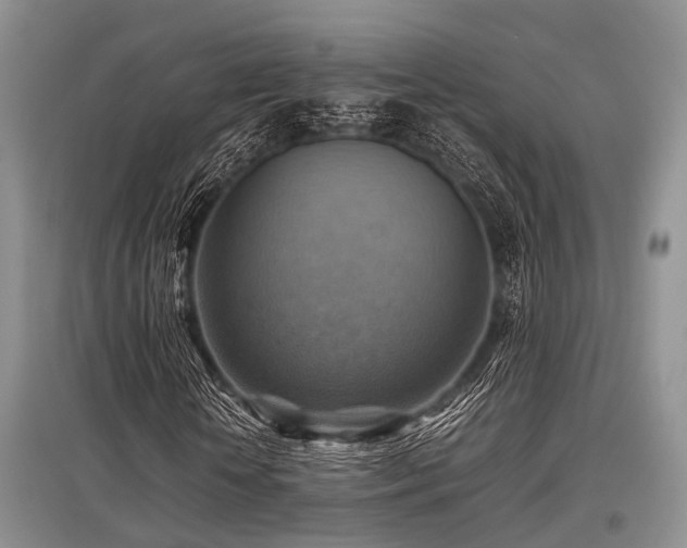 X0000097880818200803141318