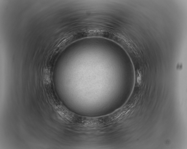 X0000097880819200803141318