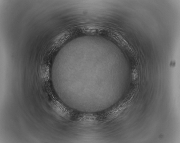 X0000097880820200803141318