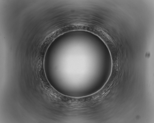X0000097880821200803141318