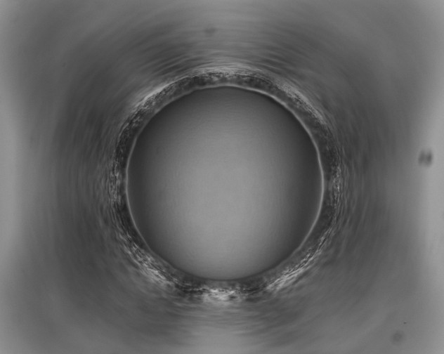 X0000097880822200803141318