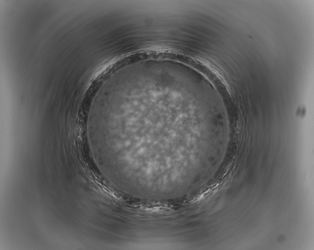 X0000097880823200803141318