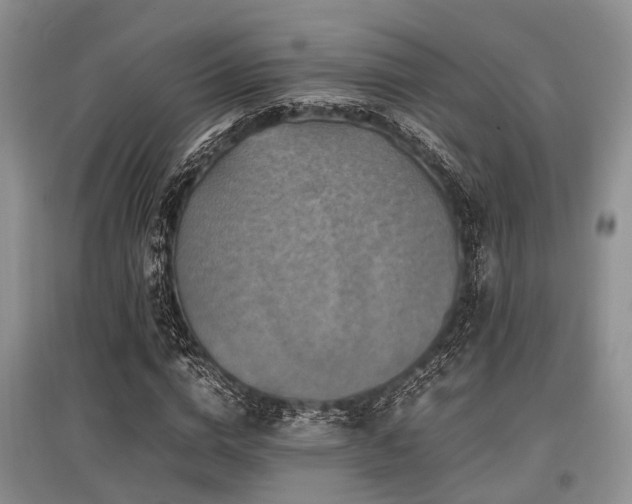 X0000097880824200803141318