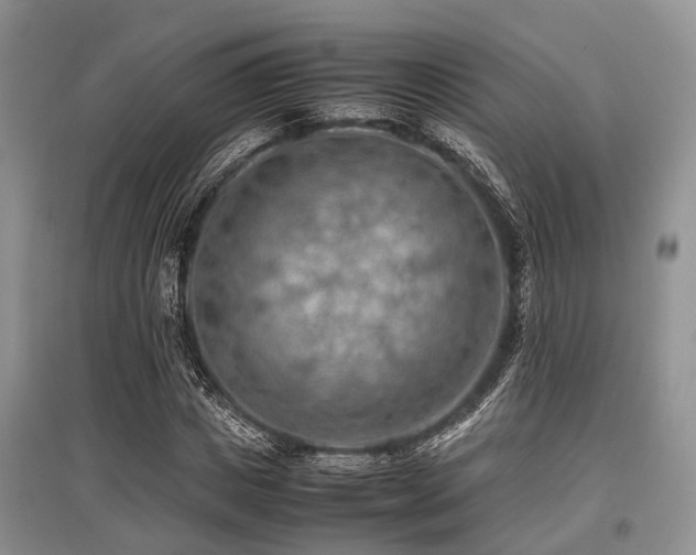 X0000097880825200803141318
