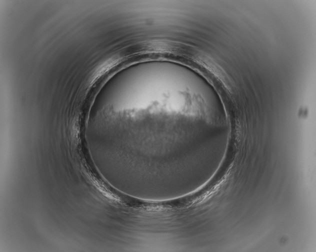 X0000097880826200803141318