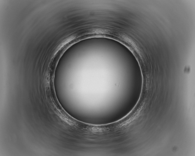X0000097880827200803141318