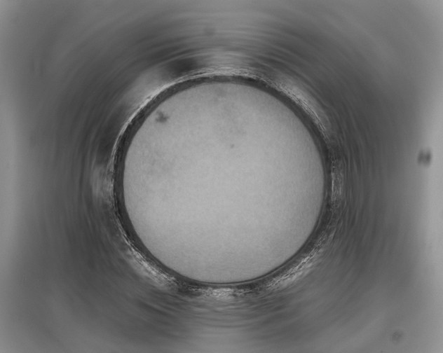 X0000097880828200803141318