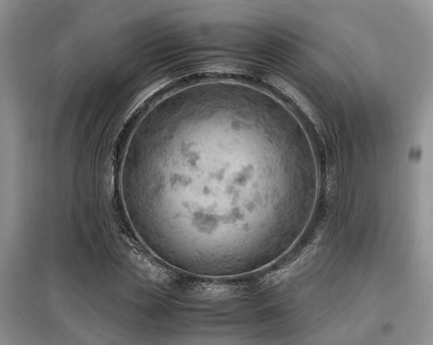 X0000097880829200803141318