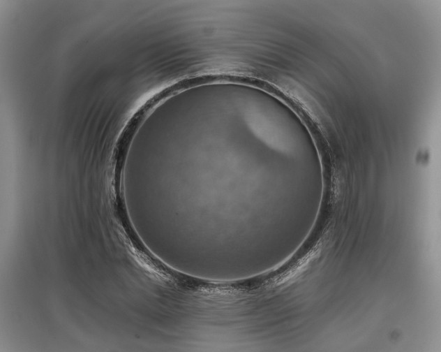 X0000097880830200803141318
