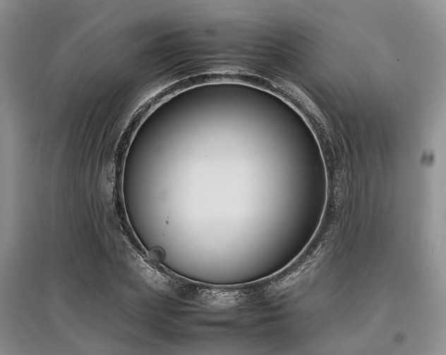 X0000097880831200803141318