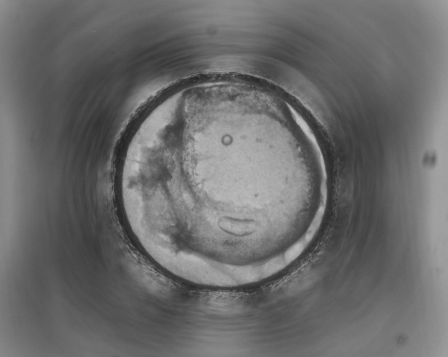 X0000097880832200803141318