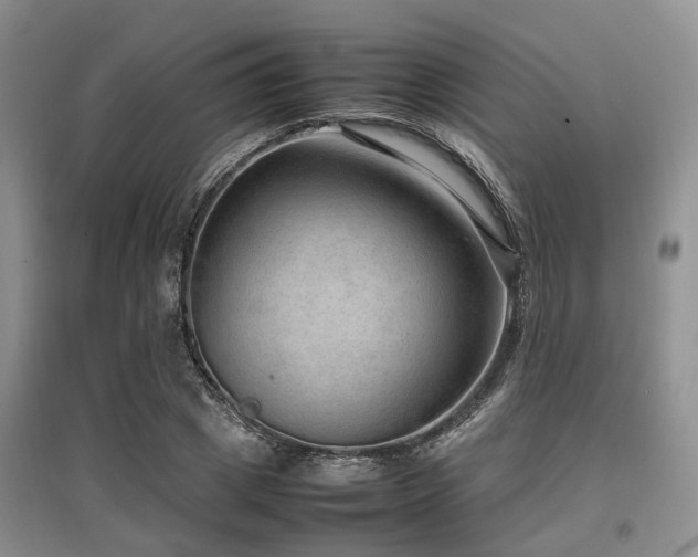 X0000097880833200803141318